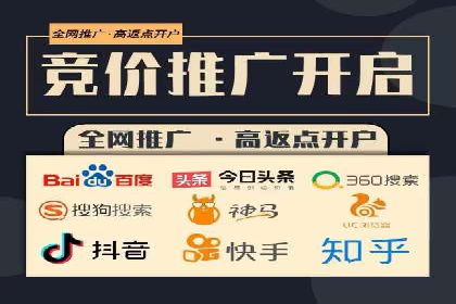 百度竞价推广运营实战技巧与经典案例剖析